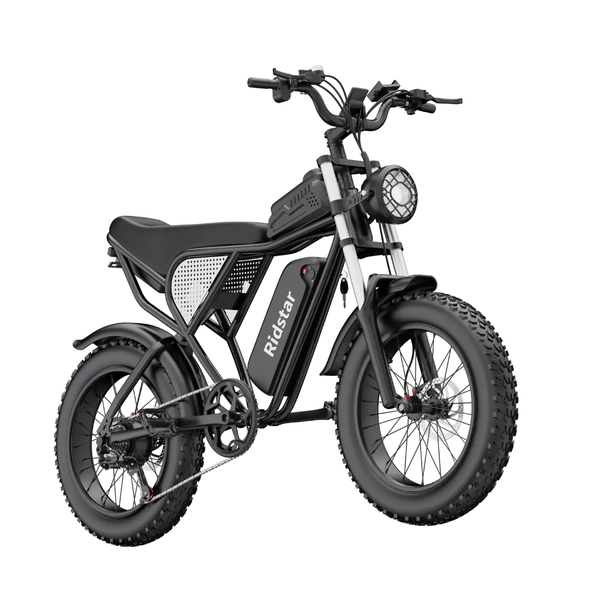 Ridstar Q20 1500W 48V 20AH Fat Tire E-Bike