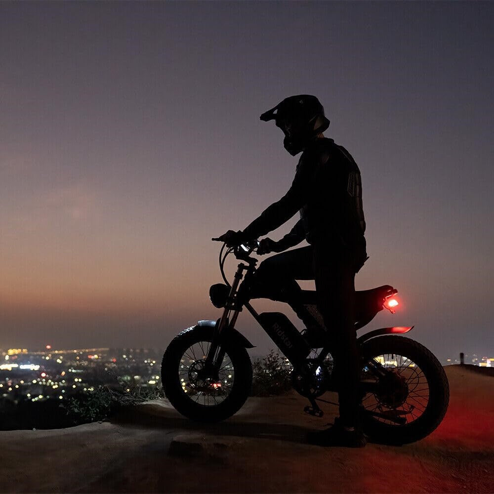 Ridstar Q20 1500W 48V 20AH Fat Tire E-Bike