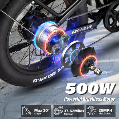 VARUN S20-1 Electric Bike